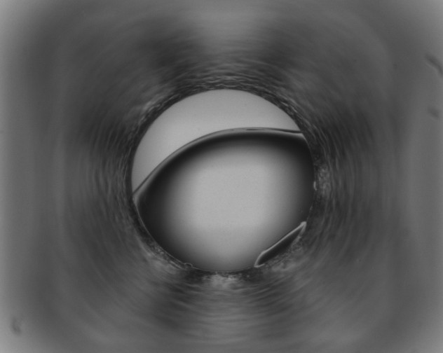 X0000091900570200709051106