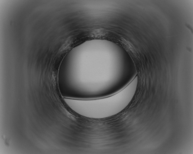 X0000091900572200709051106