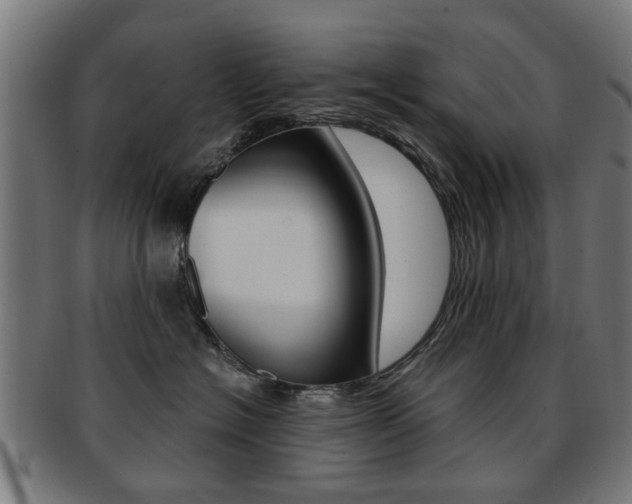 X0000091900574200709051106