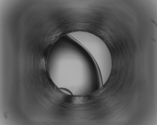 X0000091900575200709051106