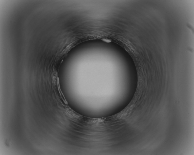 X0000091900576200709051106