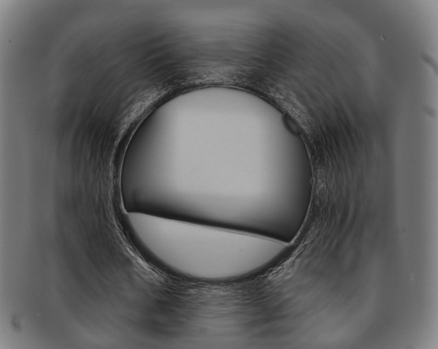 X0000091900578200709051105