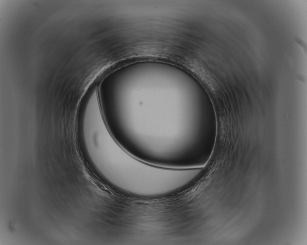 X0000091900580200709051105