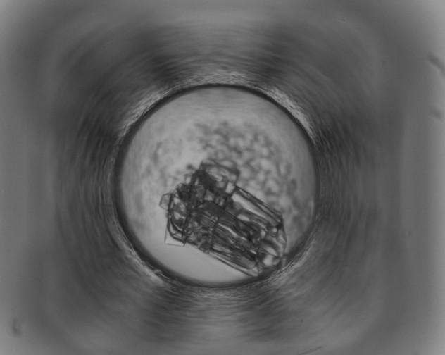 X0000091900581200709051105
