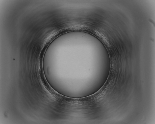 X0000091900582200709051105