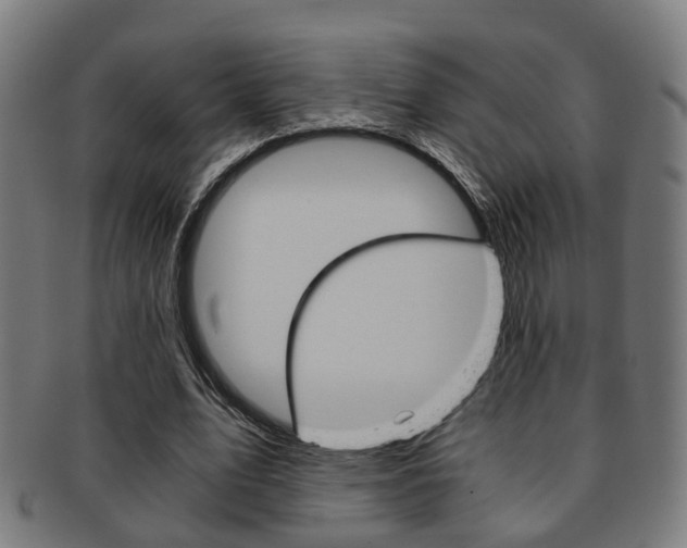 X0000091900583200709051105