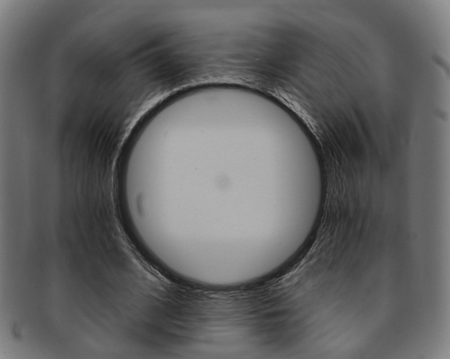 X0000091900584200709051105