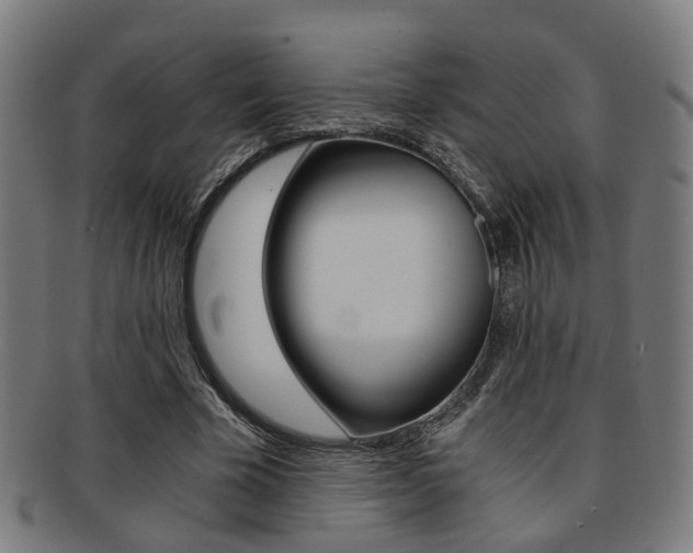 X0000091900585200709051105