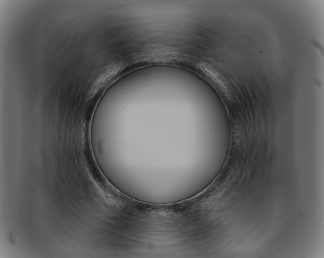 X0000091900586200709051105
