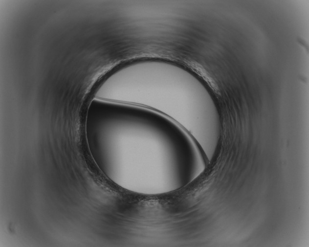 X0000091900588200709051105