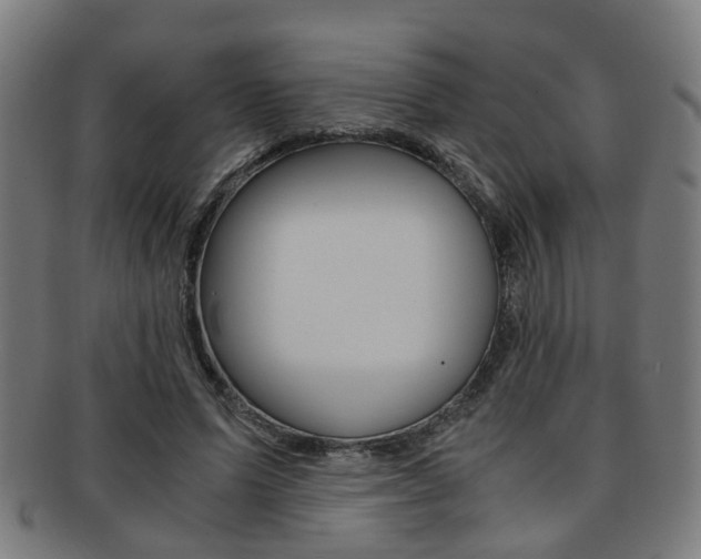X0000091900591200709051105