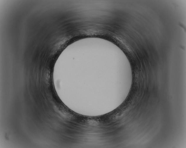 X0000091900592200709051105
