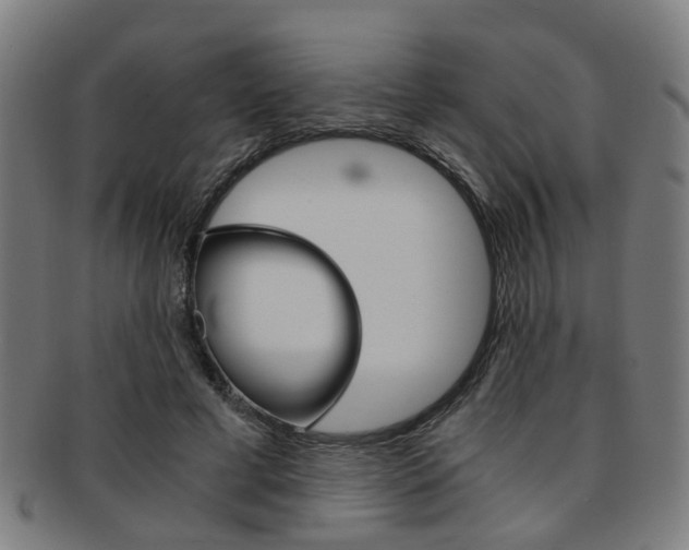 X0000091900593200709051105