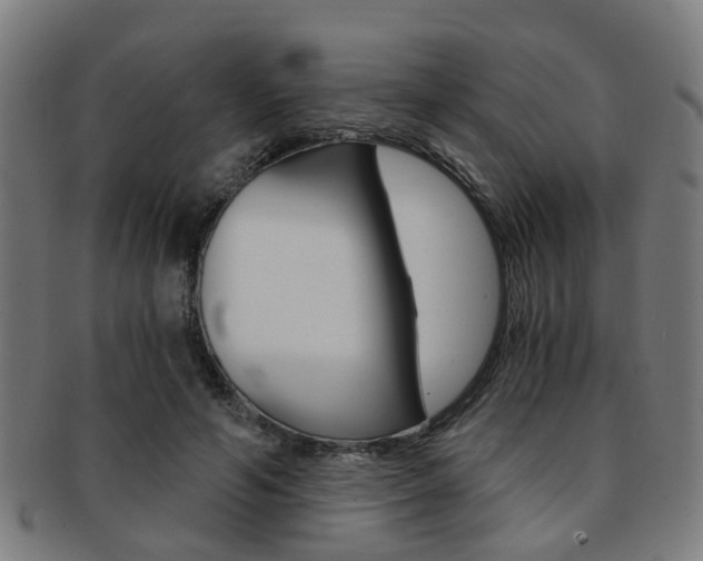 X0000091900594200709051105
