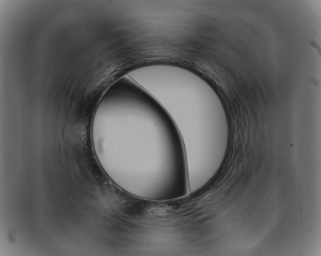 X0000091900595200709051105