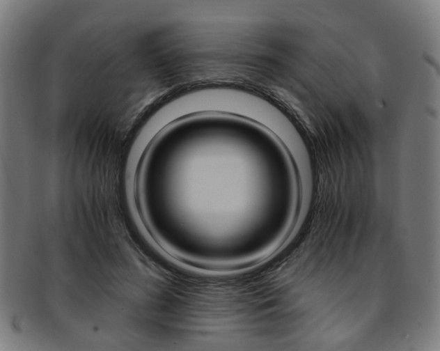 X0000091900596200709051105