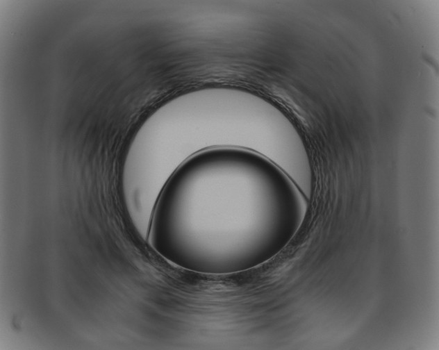 X0000091900597200709051105