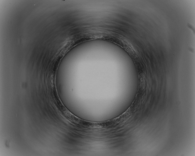 X0000091900598200709051105