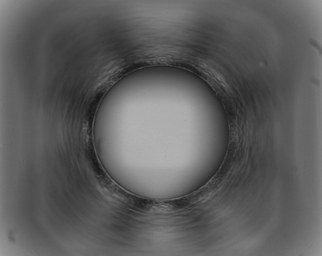 X0000091900599200709051105