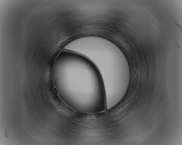 X0000091900600200709051105