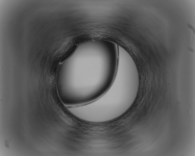 X0000091900601200709051105