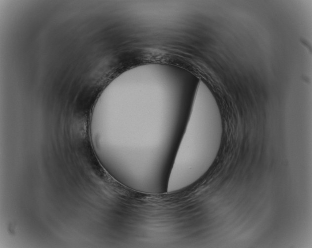 X0000091900602200709051105