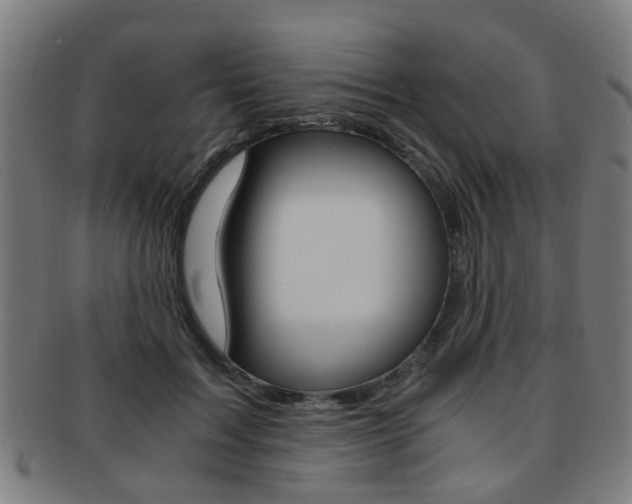 X0000091900603200709051105