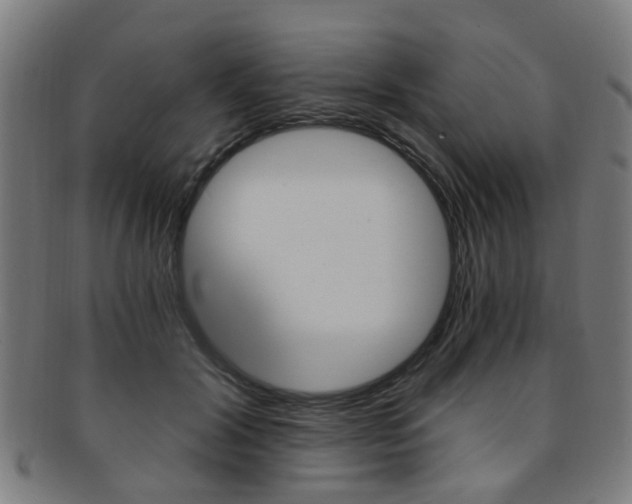 X0000091900604200709051105