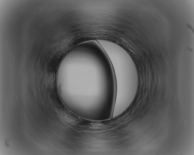 X0000091900605200709051105