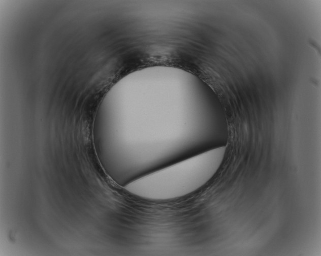 X0000091900606200709051105