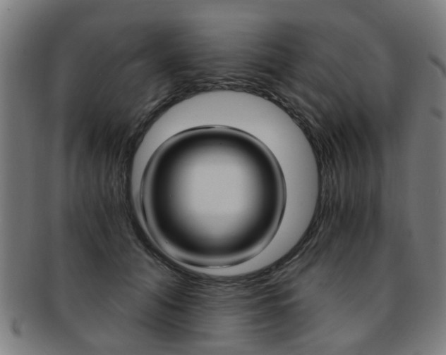 X0000091900608200709051105