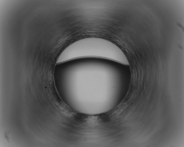 X0000091900609200709051105