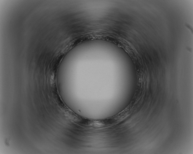 X0000091900610200709051105