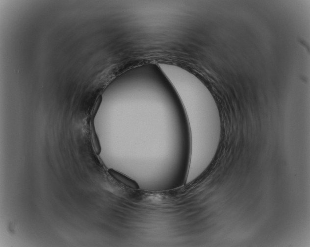 X0000091900611200709051105