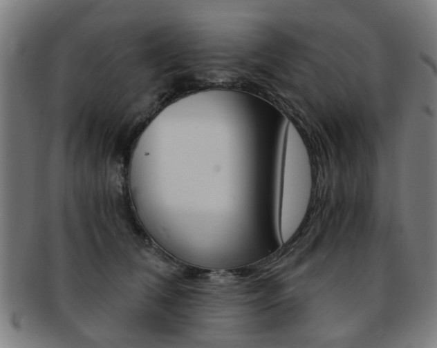 X0000091900612200709051105
