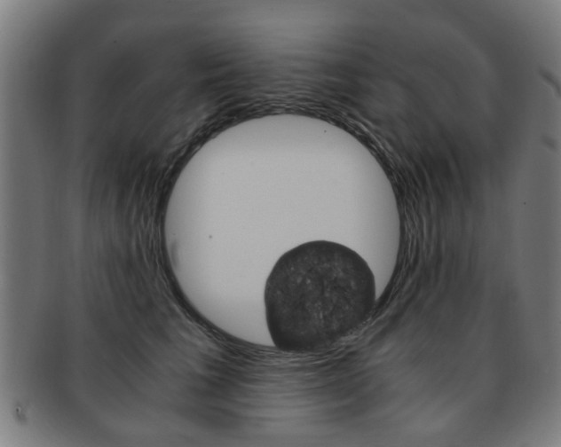 X0000091900613200709051105