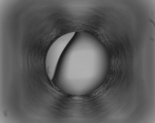 X0000091900614200709051105