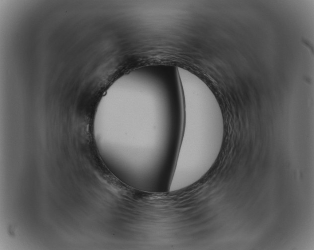 X0000091900615200709051105