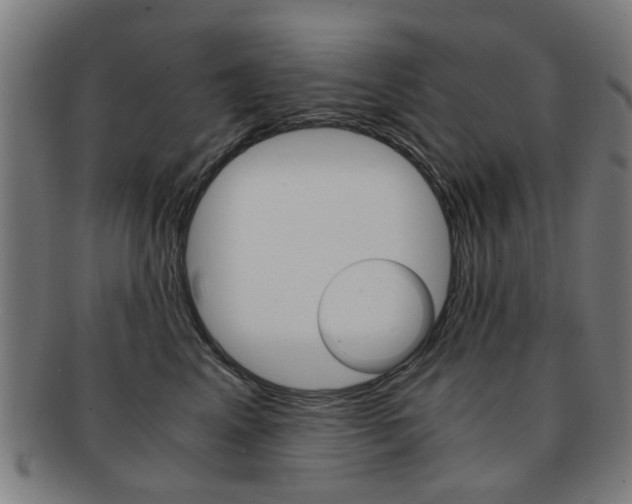 X0000091900617200709051105
