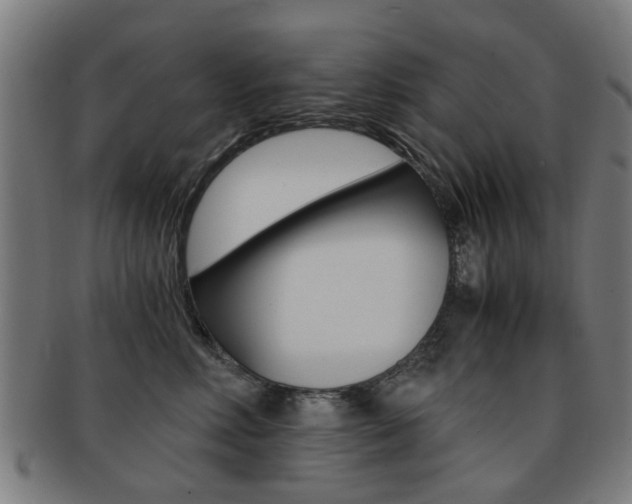 X0000091900618200709051105