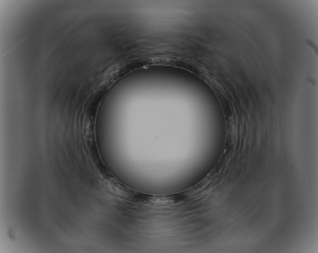 X0000091900619200709051105
