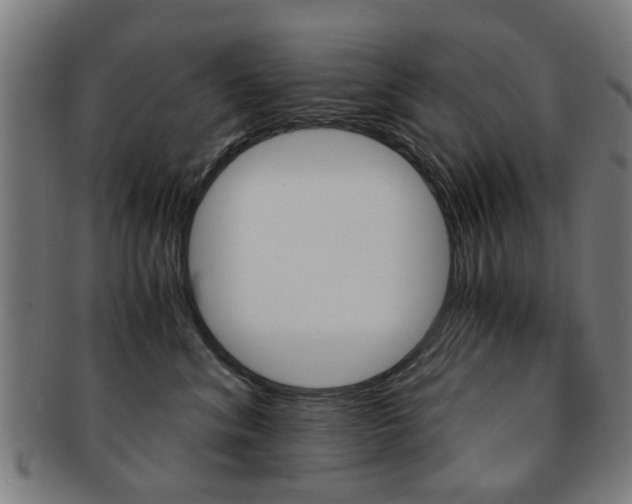 X0000091900620200709051105