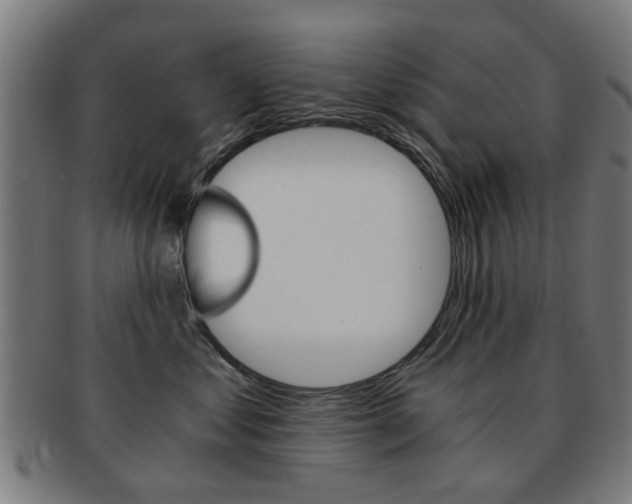 X0000091900621200709051105
