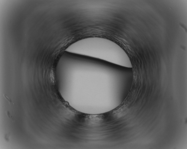 X0000091900622200709051105