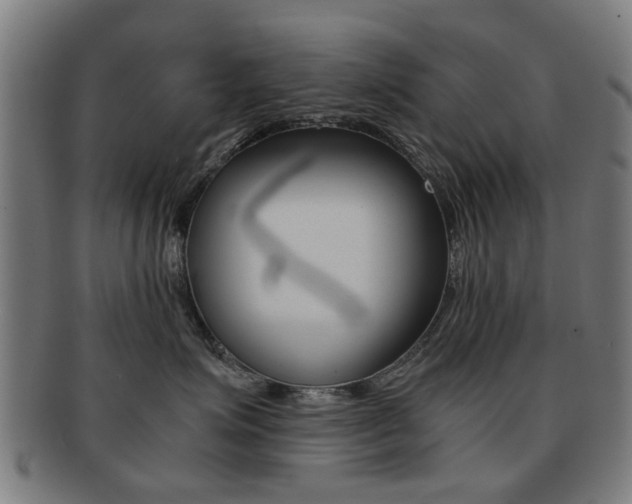 X0000091900623200709051105