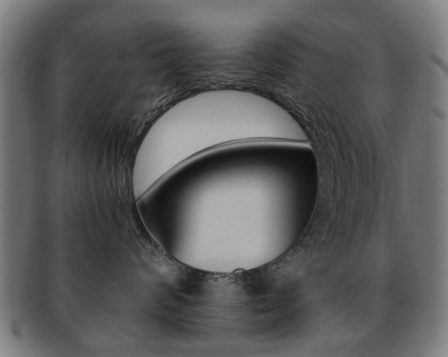 X0000091900624200709051105