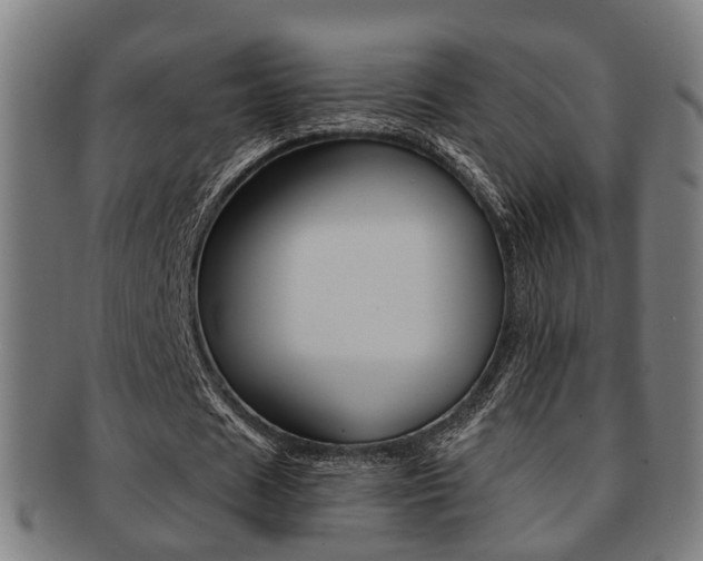 X0000091900625200709051104