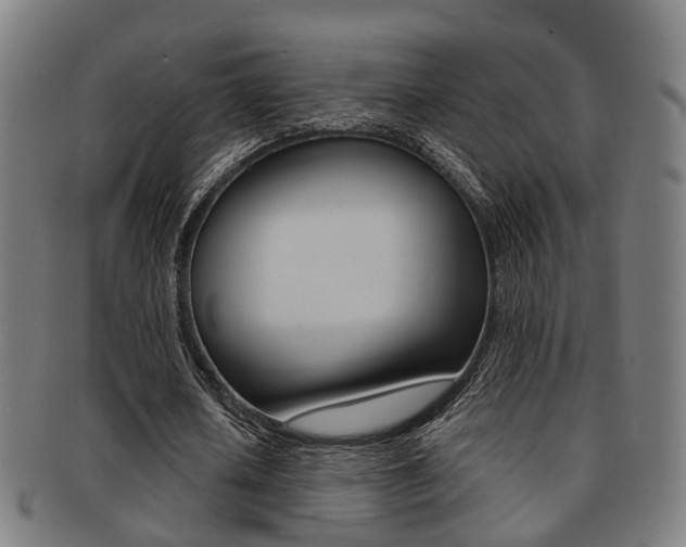 X0000091900626200709051104