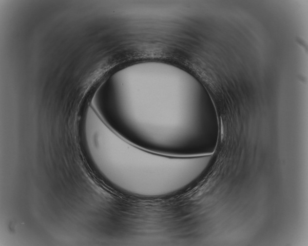 X0000091900627200709051104