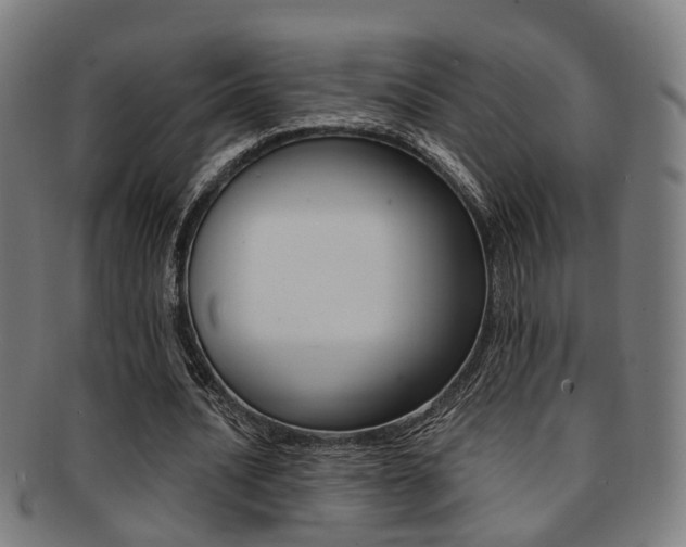 X0000091900628200709051104
